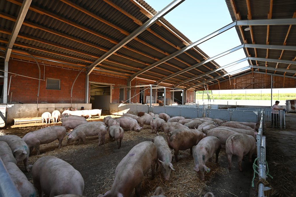 Unsere Tierhaltung